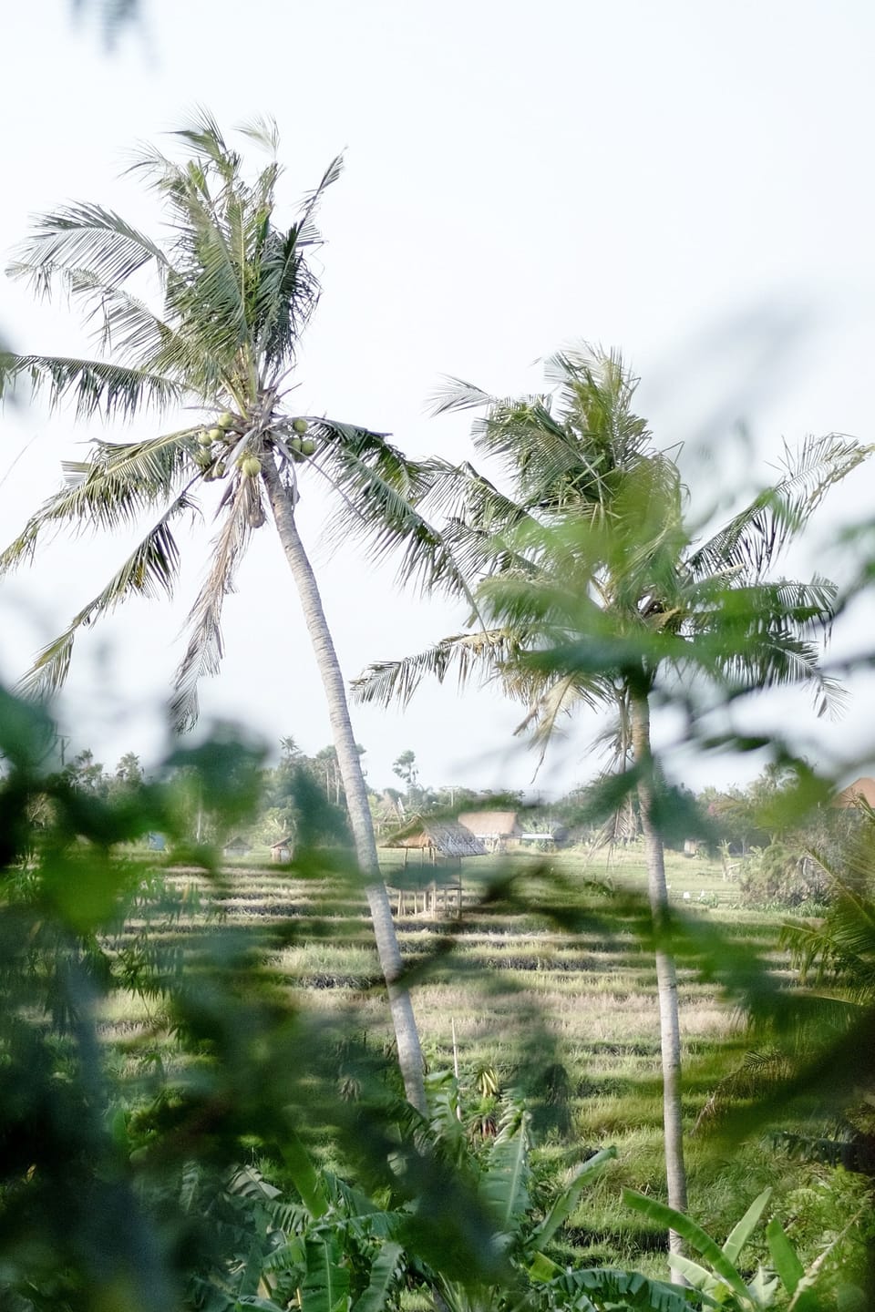 Villa, 1 Bedroom | Garden view