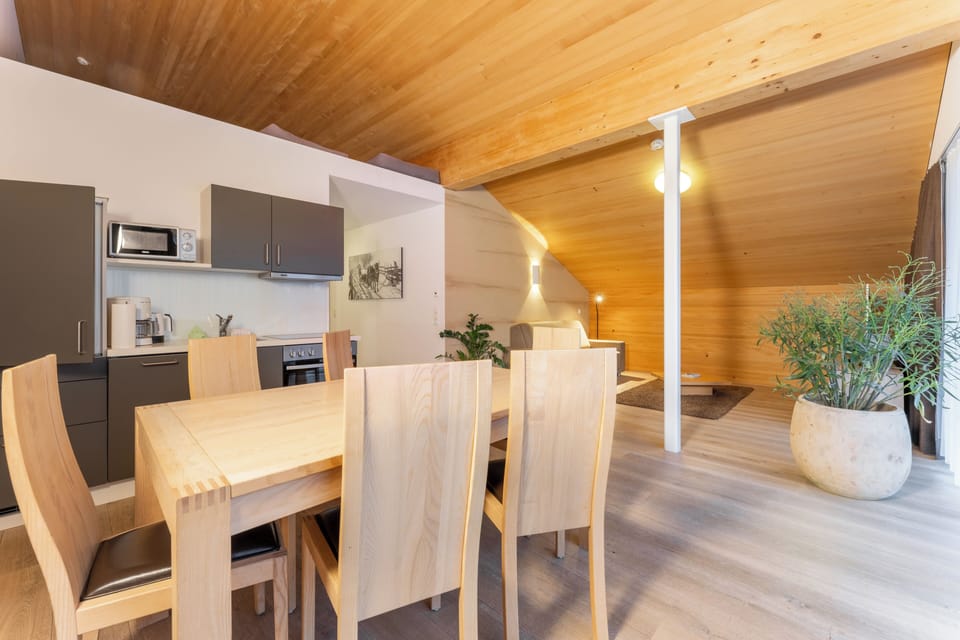 Superior Apartment, 2 Bedrooms, Terrace, Mountain View | Private kitchen | Cleaning supplies