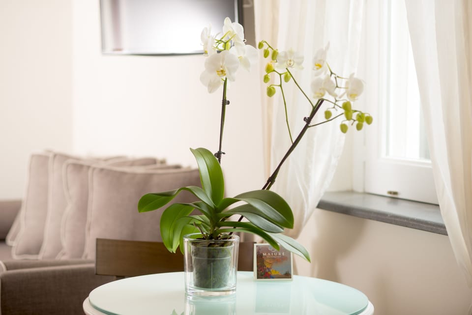 Standard Double Room | Minibar, in-room safe, desk, cribs (free)