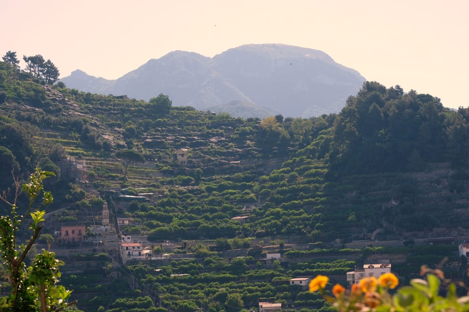 Land view from property