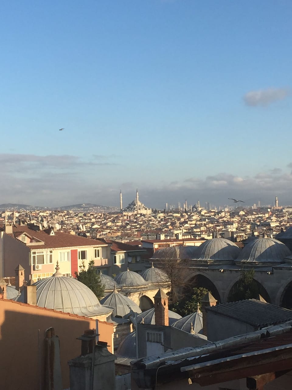 View from property