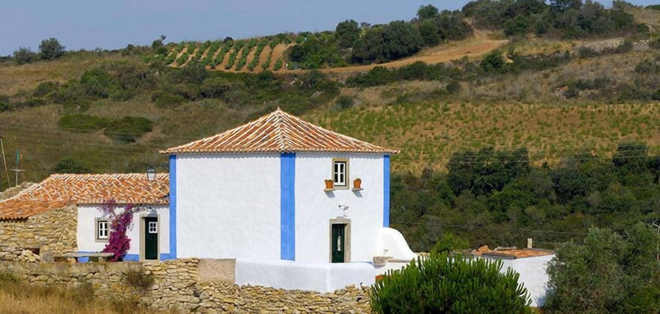 House, 3 Bedrooms | Terrace/patio