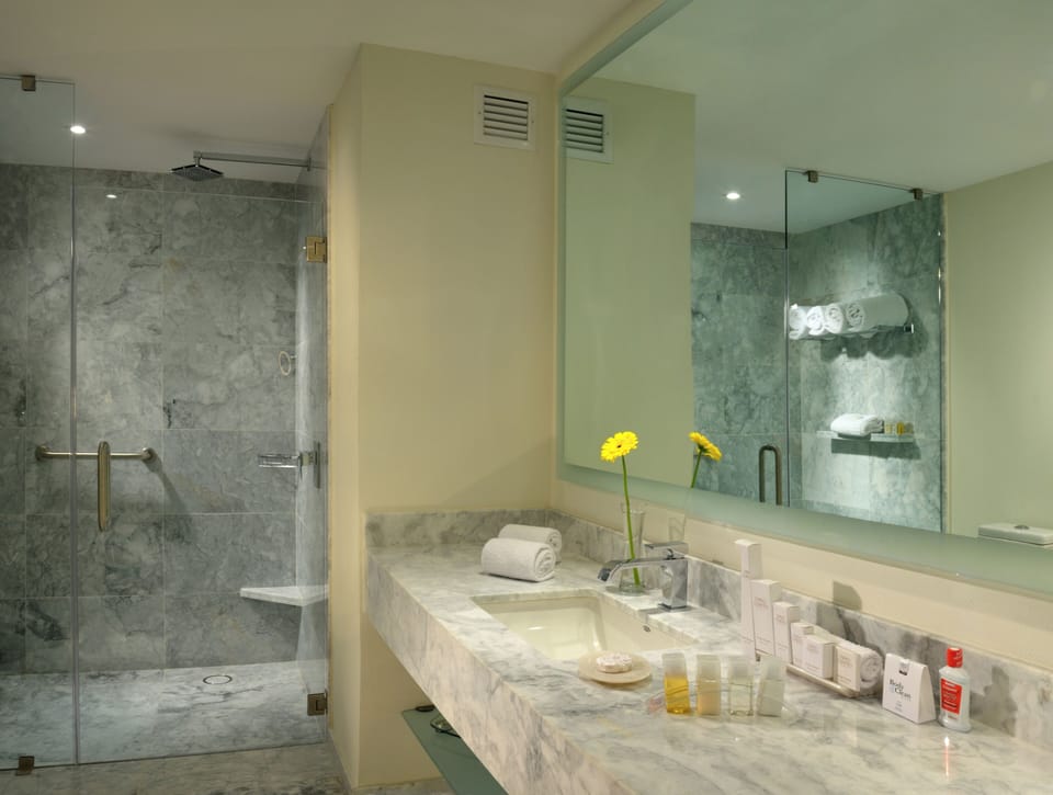 Separate tub and shower, rainfall showerhead, designer toiletries