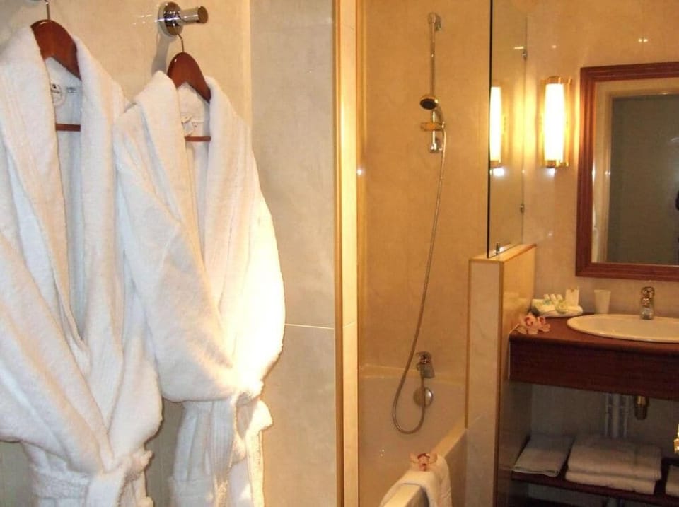 Standard Double Room (Affaires) | Bathroom | Shower, free toiletries, hair dryer, bathrobes