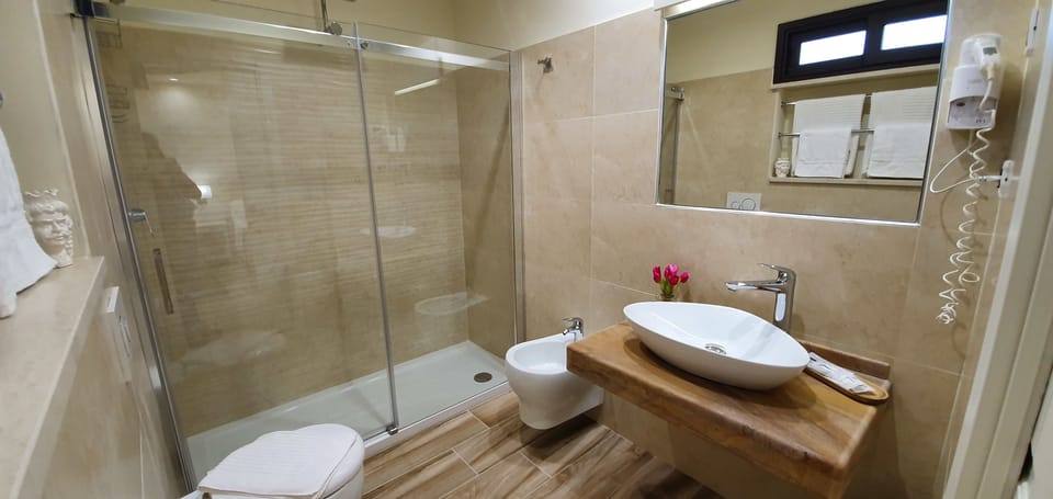 Shower, hair dryer, bidet, towels