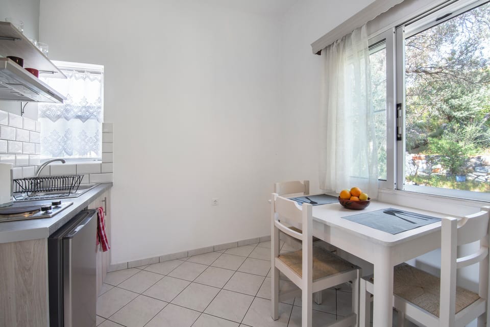 Superior Apartment | Private kitchenette | Full-size fridge, microwave, stovetop, coffee/tea maker