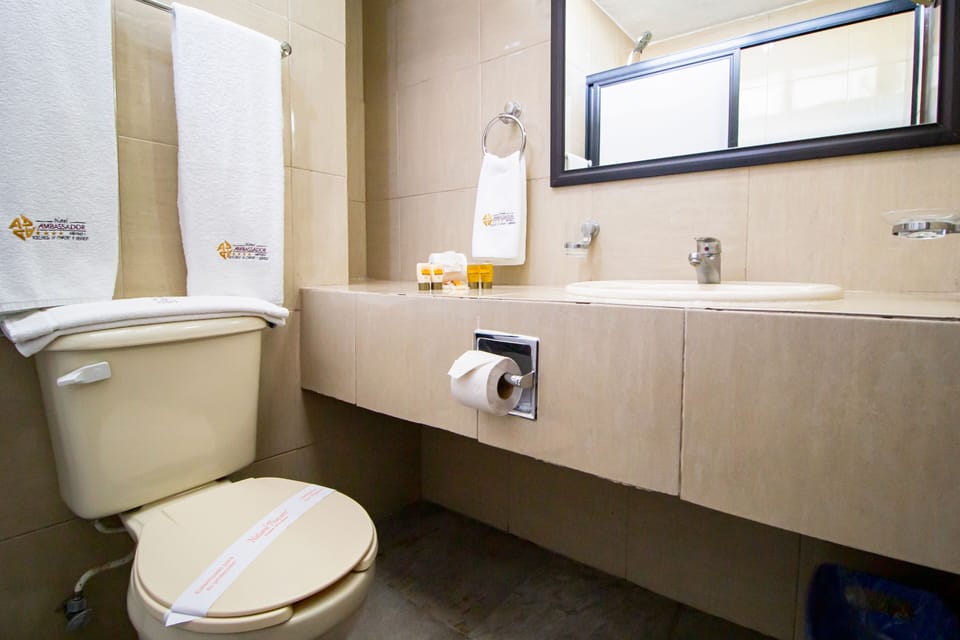 Shower, free toiletries, towels