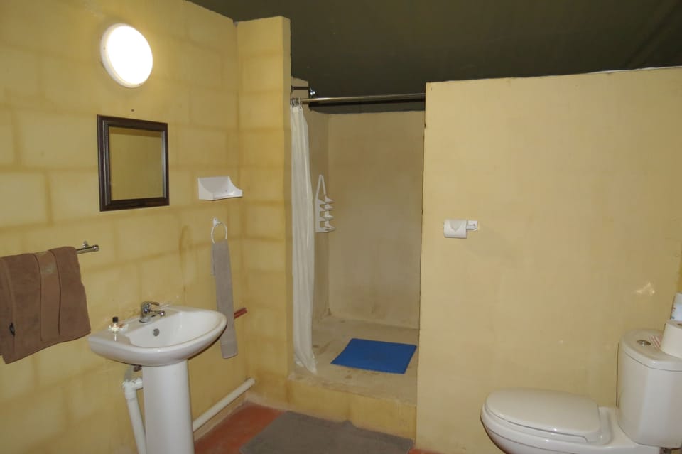 Luxury Tent, Ensuite | Bathroom | Shower, hair dryer, towels, soap
