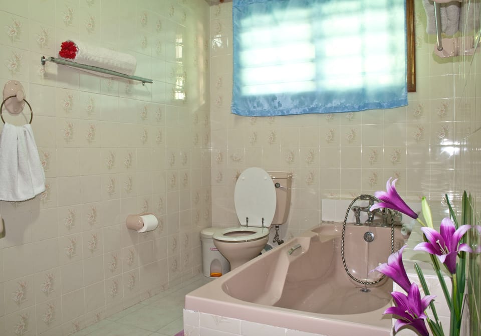 Standard Room | Bathroom | Free toiletries, towels