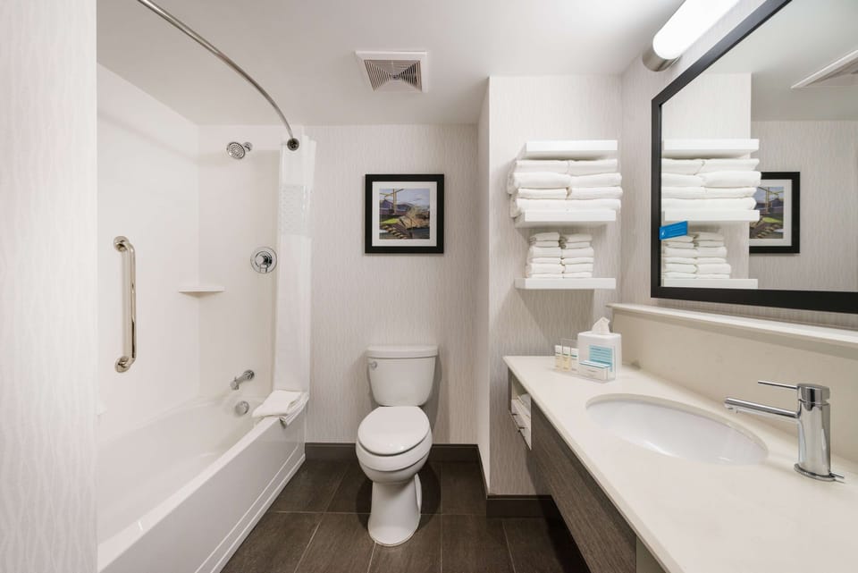 Combined shower/tub, free toiletries, hair dryer, towels
