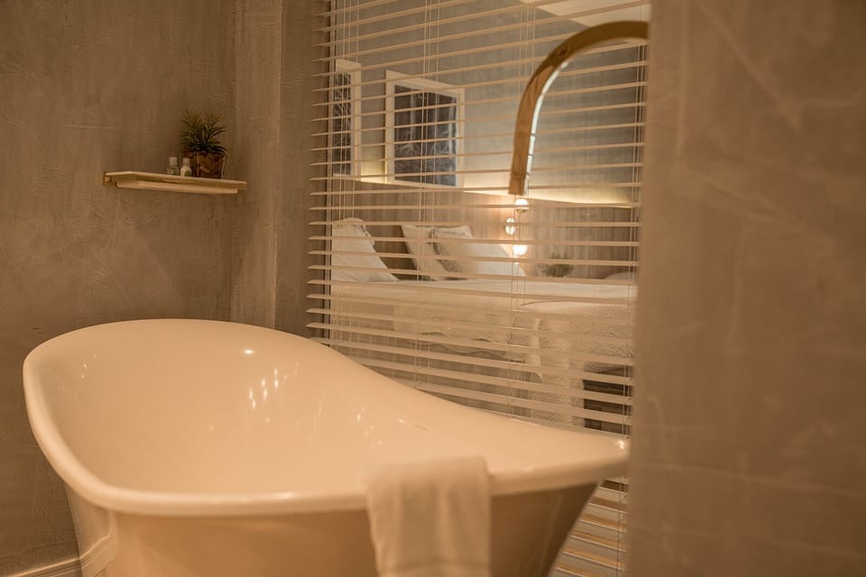 Presidential Studio Suite | Minibar, desk, free WiFi, bed sheets