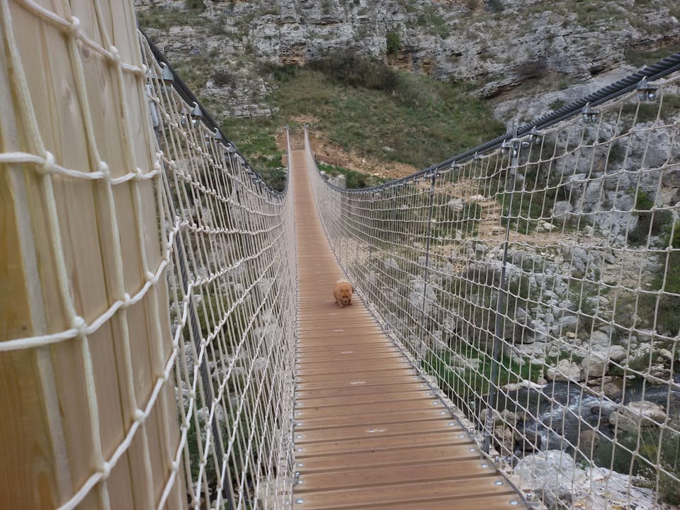 Hiking