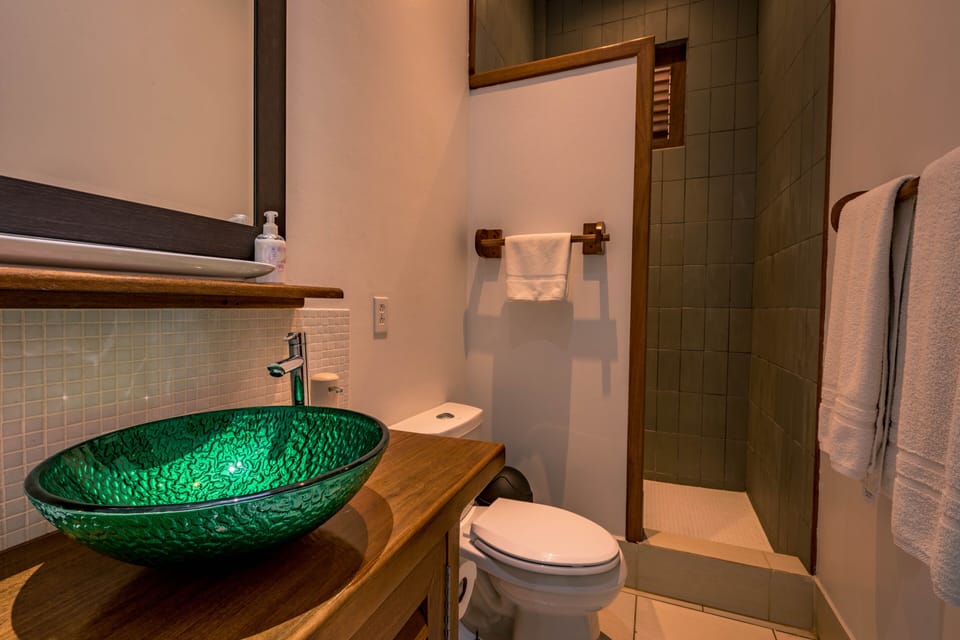 The Hummingbird Bed and Breakfast in Bocas del Toro Province