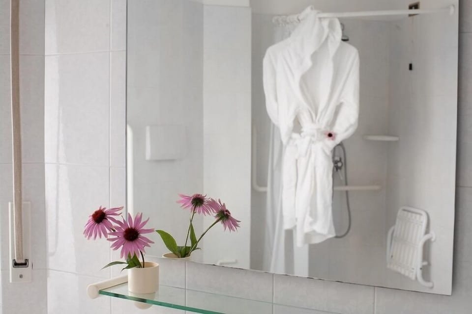 Shower, free toiletries, hair dryer, bidet