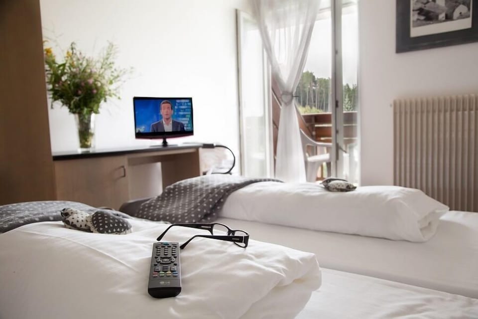 Double or Twin Room | Minibar, in-room safe, desk, free WiFi