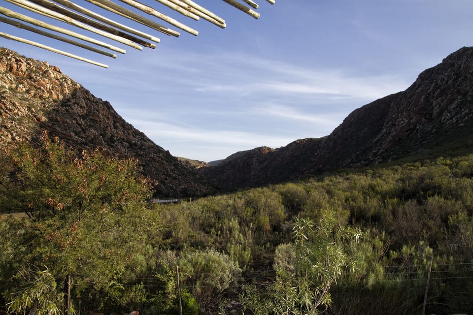 Luxury Room, 1 Bedroom (Kapokbos) | View from room