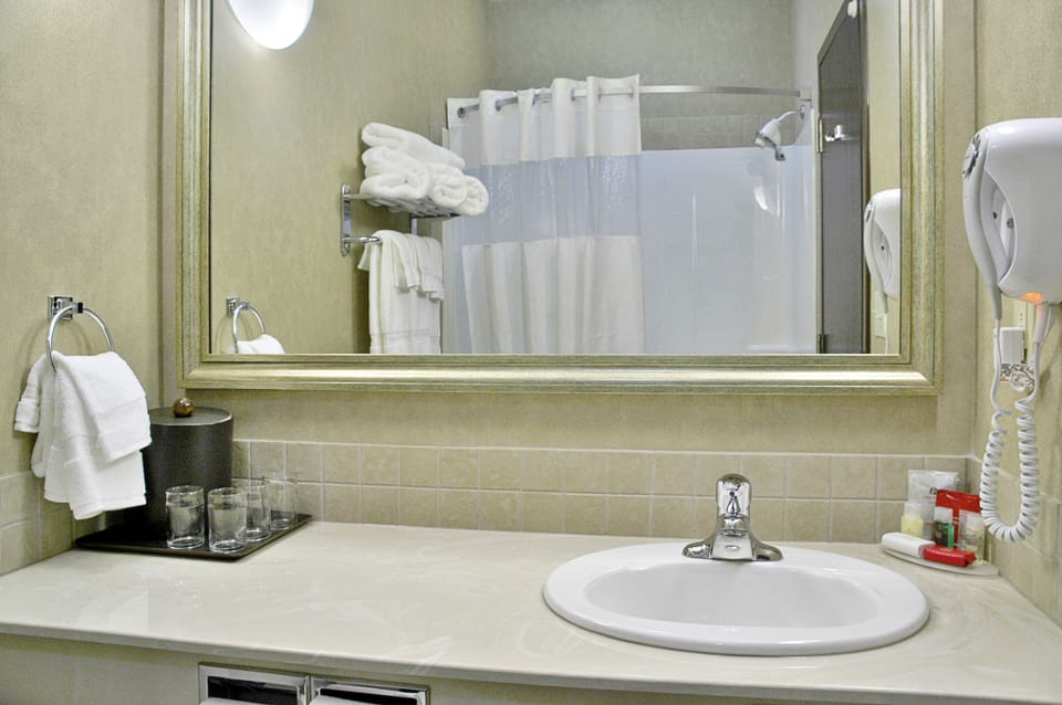 Combined shower/tub, free toiletries, hair dryer, towels