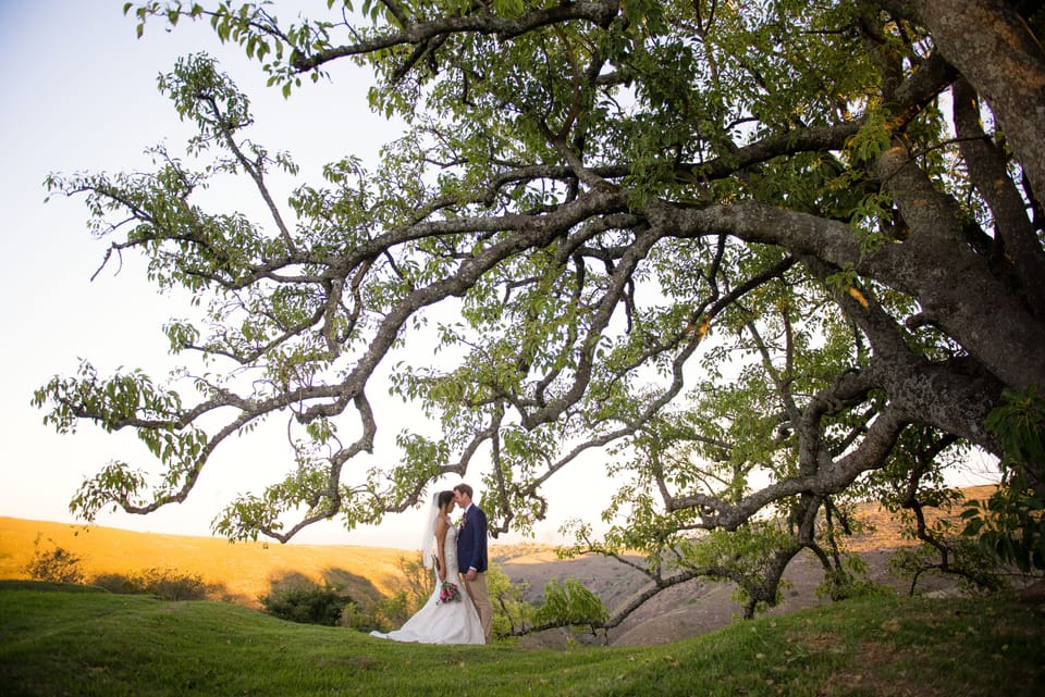 Outdoor wedding area