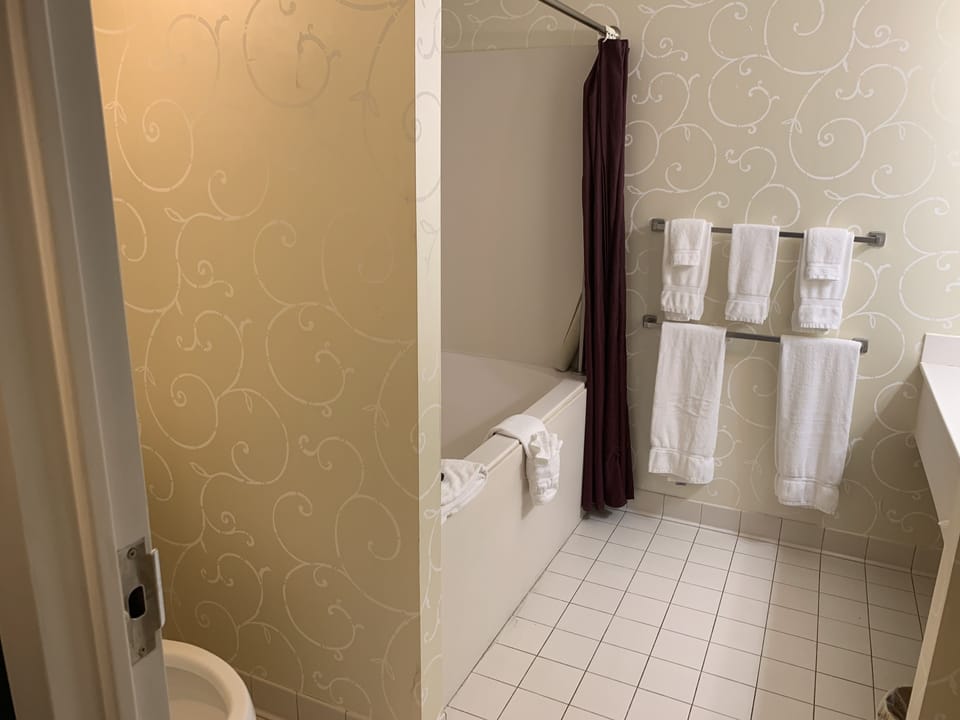 Deluxe Suite, 1 Bedroom, River View | Bathroom | Combined shower/tub, free toiletries, hair dryer, towels