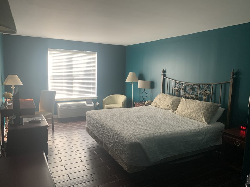 Standard Room, 1 King Bed, City View | Desk, iron/ironing board, free WiFi, bed sheets