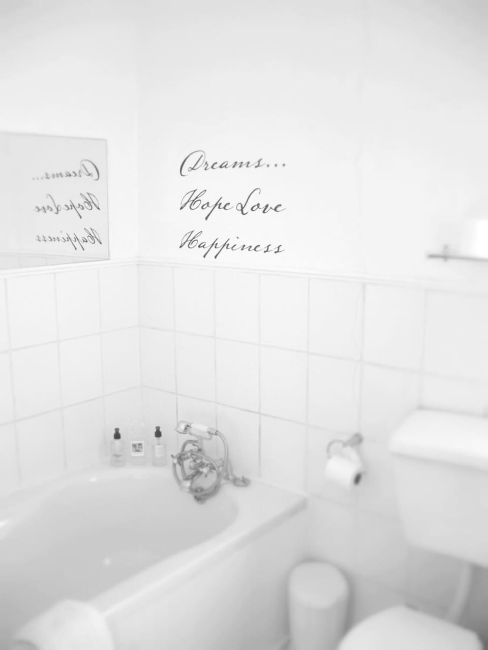 Combined shower/tub, towels