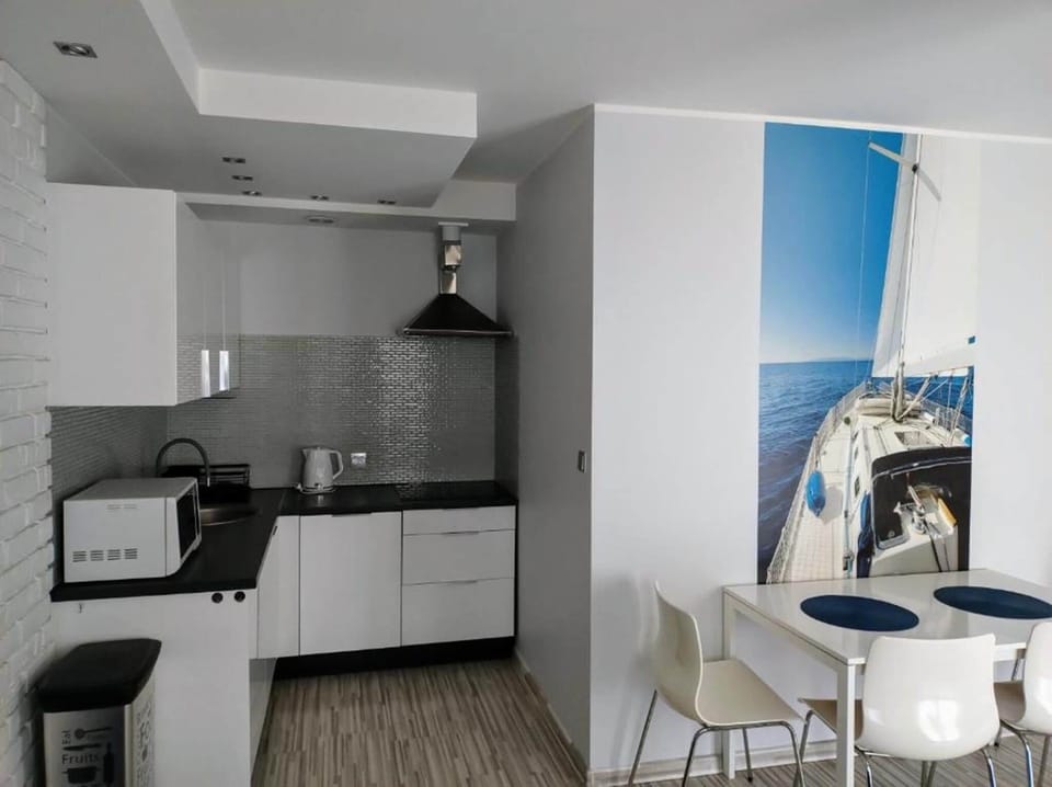 Apartment, 1 Bedroom, Terrace | Private kitchen | Fridge, microwave, stovetop, dishwasher