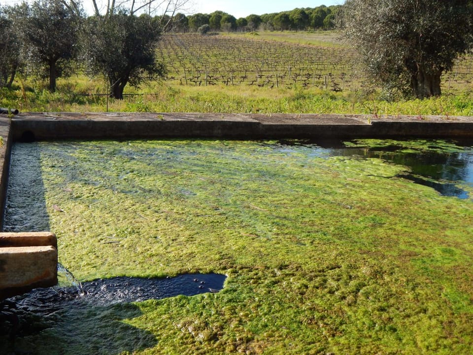 Quinta das Ratoeiras Country House in Évora District, Portugal