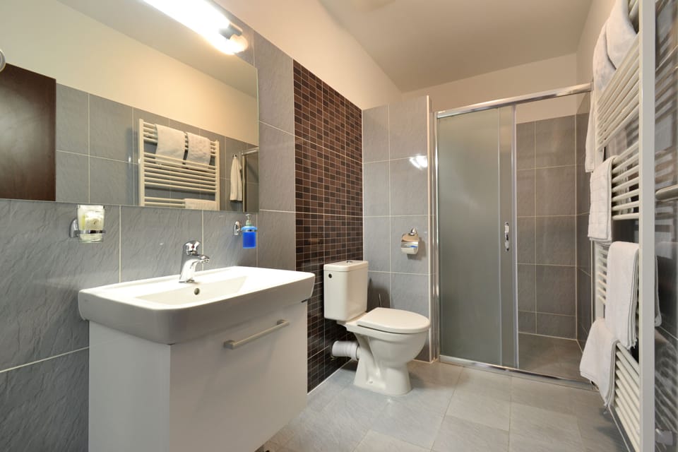 Shower, free toiletries, hair dryer, towels