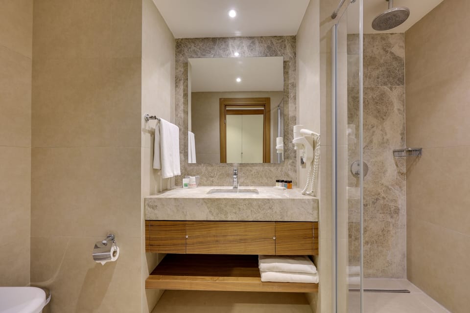 Shower, hair dryer, towels