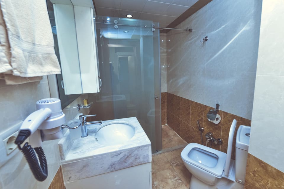 Shower, hair dryer, slippers, bidet