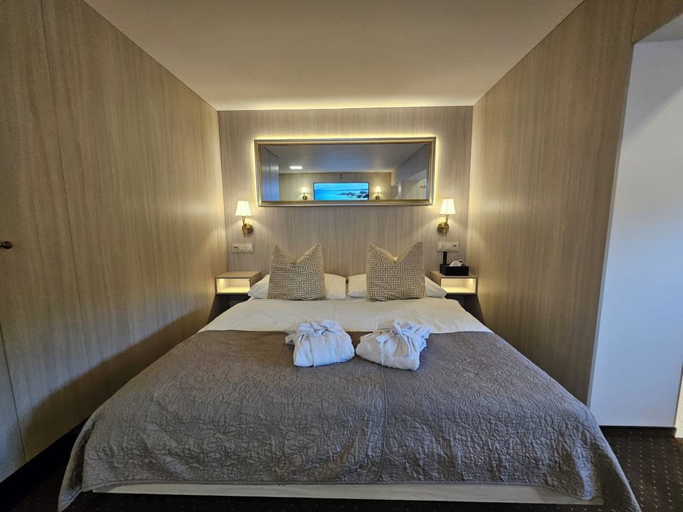 Deluxe Double Room | 1 bedroom, in-room safe, desk, laptop workspace