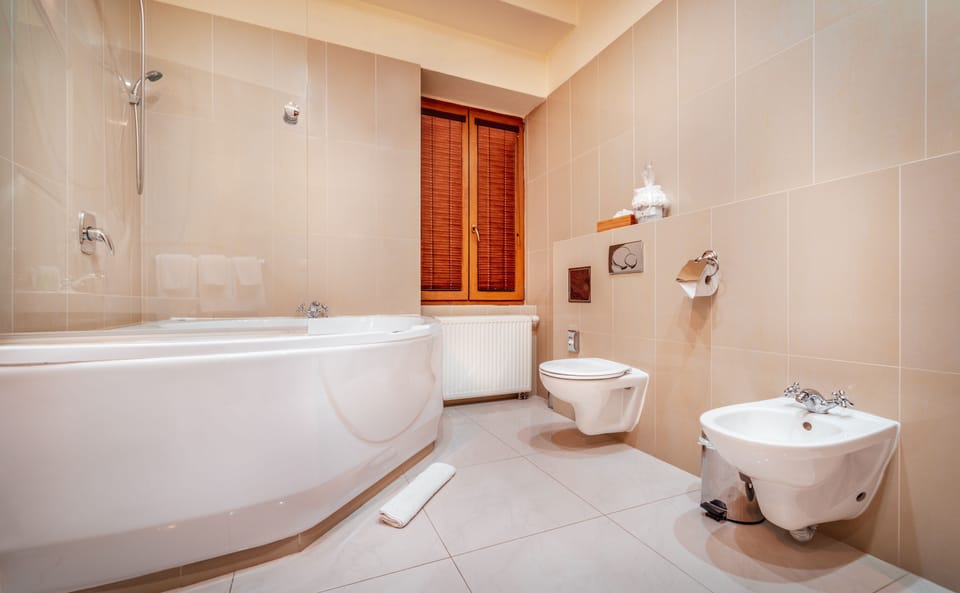 Jetted tub, designer toiletries, hair dryer, towels