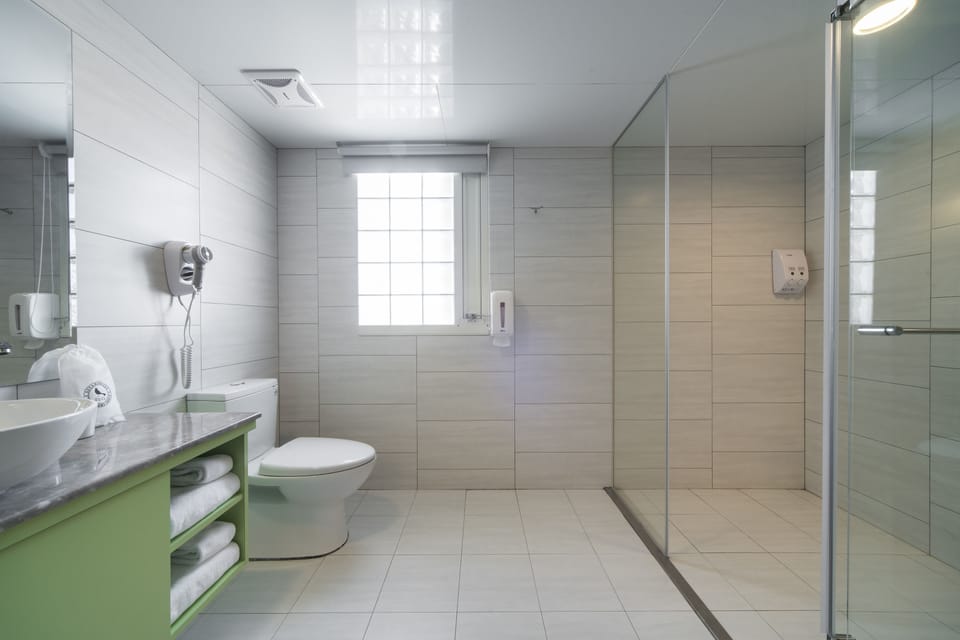 Shower, free toiletries, hair dryer, slippers