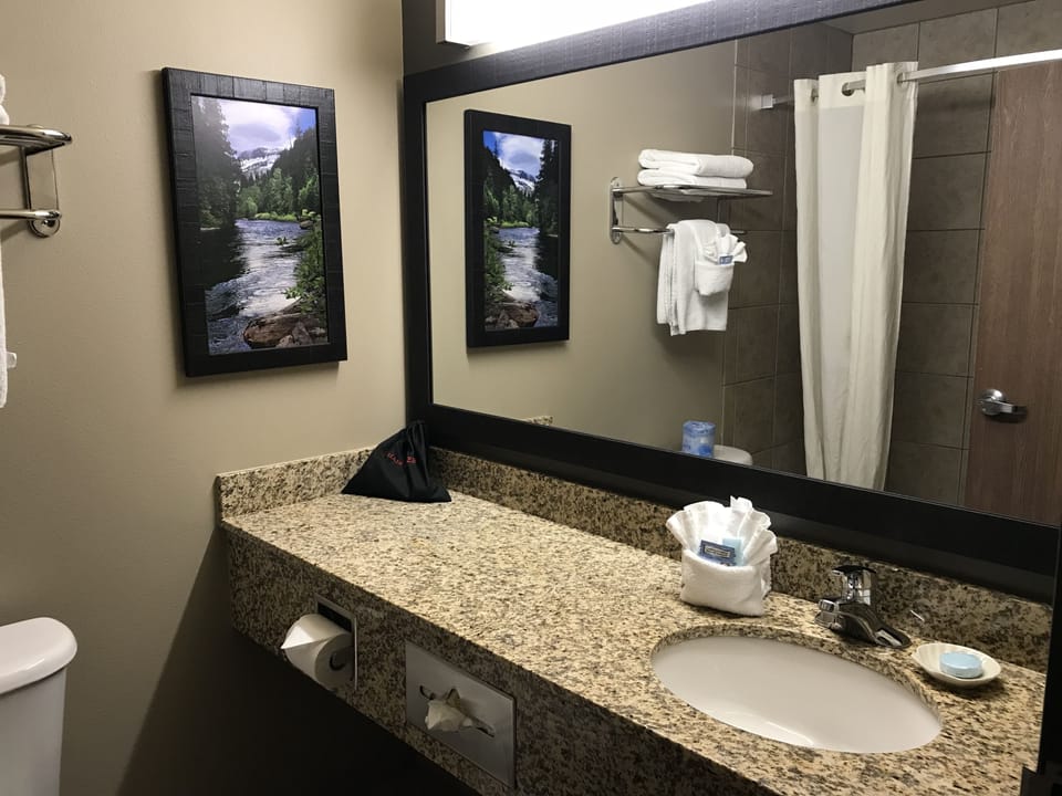 Combined shower/tub, free toiletries, hair dryer, towels