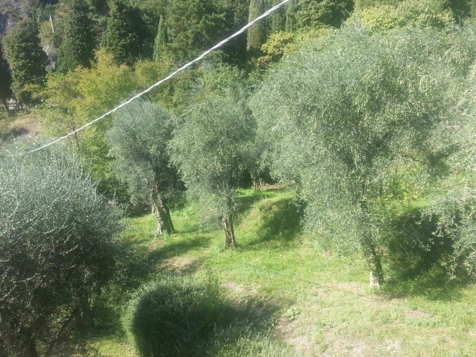 Twin Room, Mountain View | Minibar, in-room safe, desk, blackout drapes