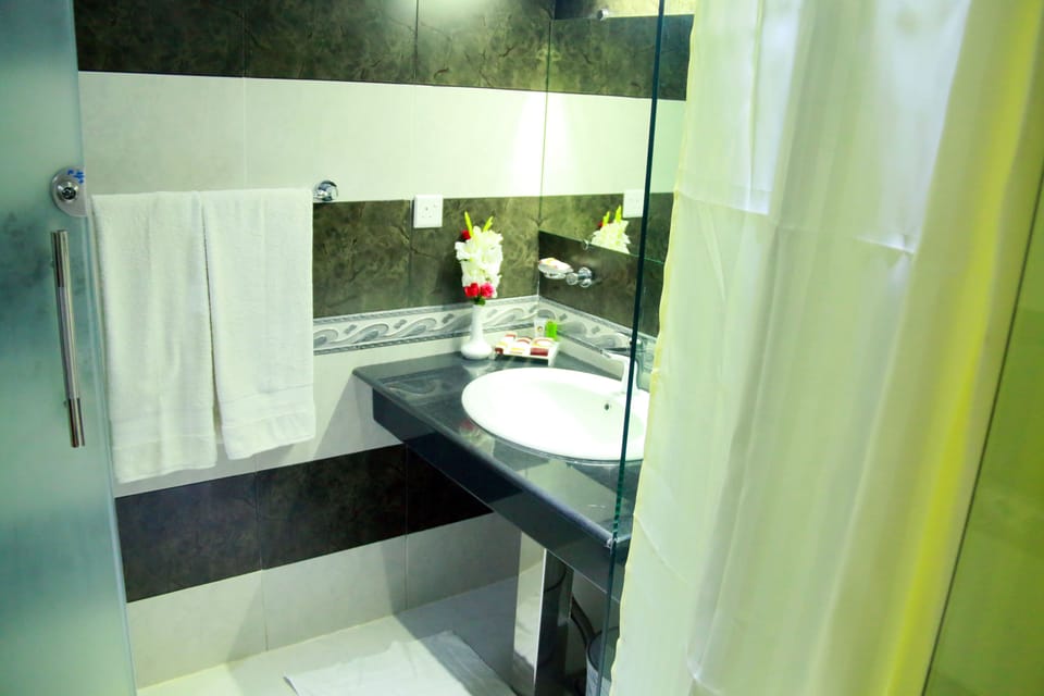 Shower, free toiletries, hair dryer (on request), slippers
