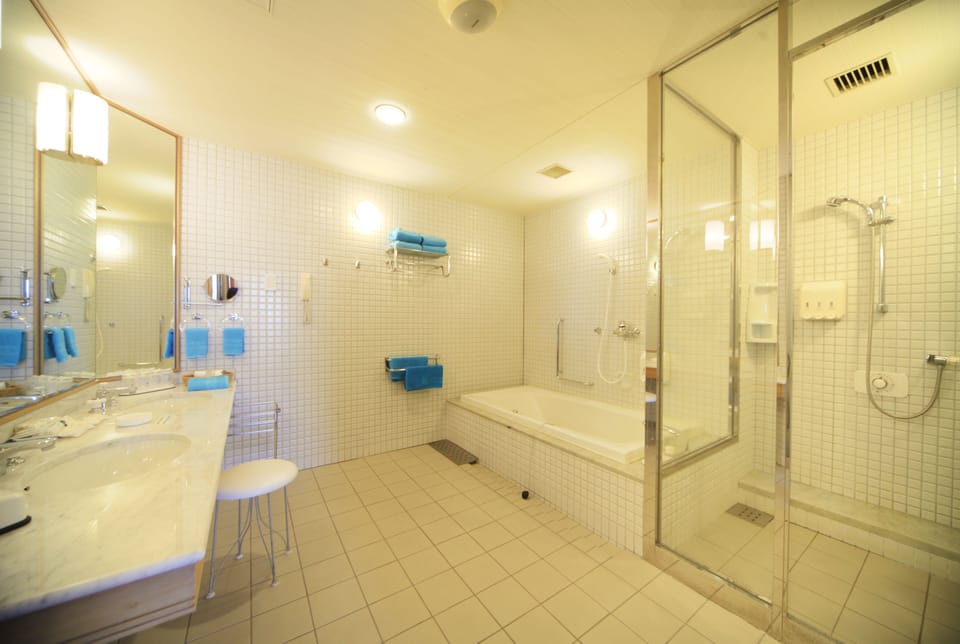 Separate tub and shower, free toiletries, hair dryer, slippers