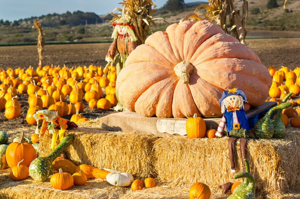 Ecotours
