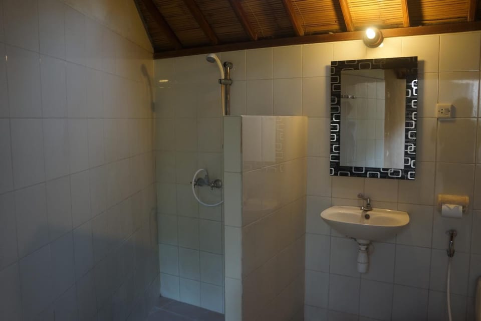 Shower, free toiletries, towels