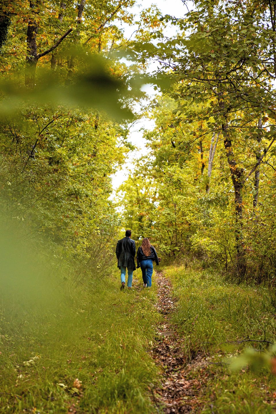 Hiking