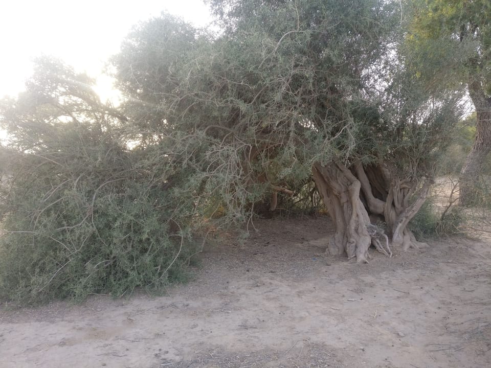 Ecotours