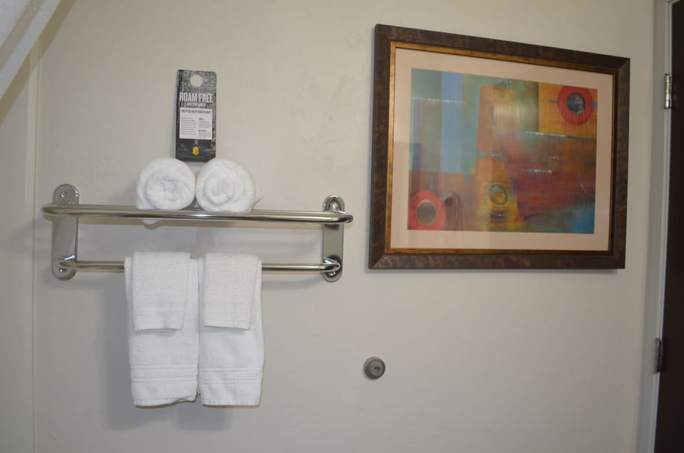 Hair dryer, towels, soap, shampoo