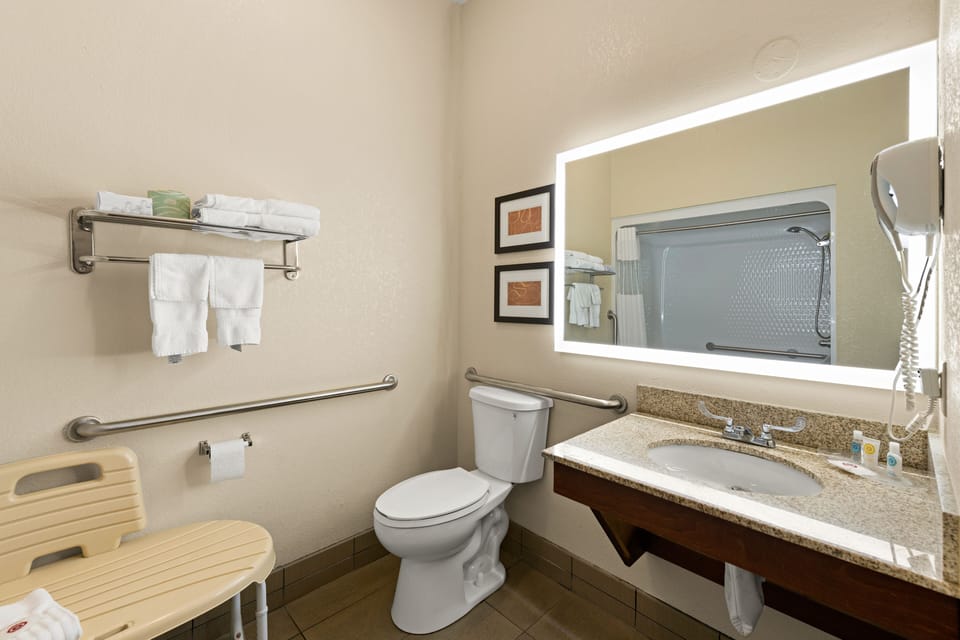 Suite, 1 King Bed, Accessible, Non Smoking | Bathroom | Combined shower/tub, free toiletries, hair dryer, towels