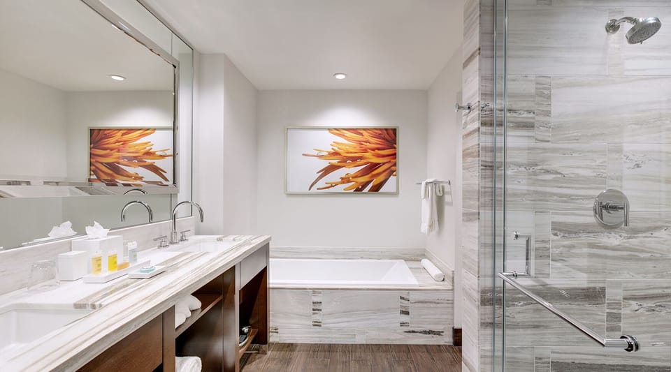 Separate tub and shower, free toiletries, hair dryer, bathrobes