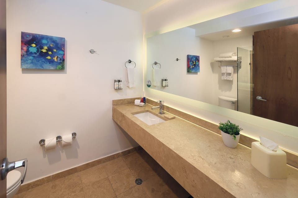Hair dryer, towels, soap, shampoo