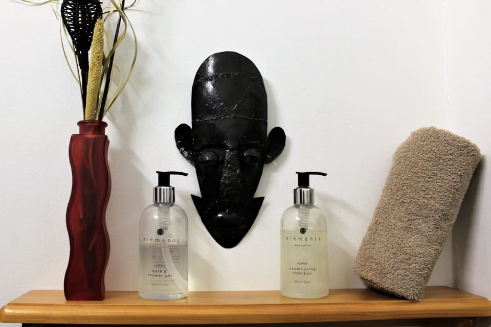 Standard Double Room | Bathroom amenities | Shower, free toiletries, hair dryer, towels