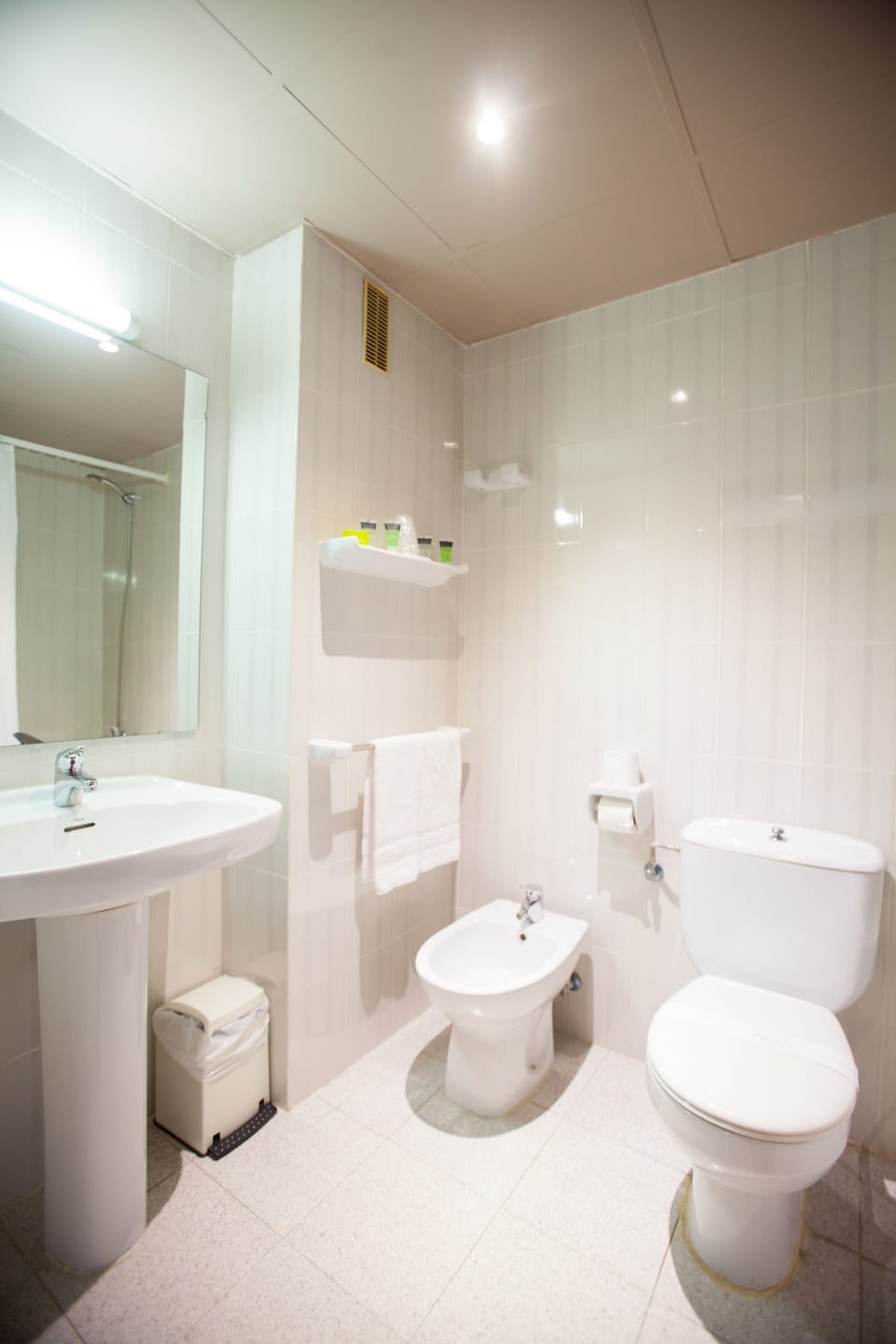 Combined shower/tub, deep soaking tub, hair dryer, bidet