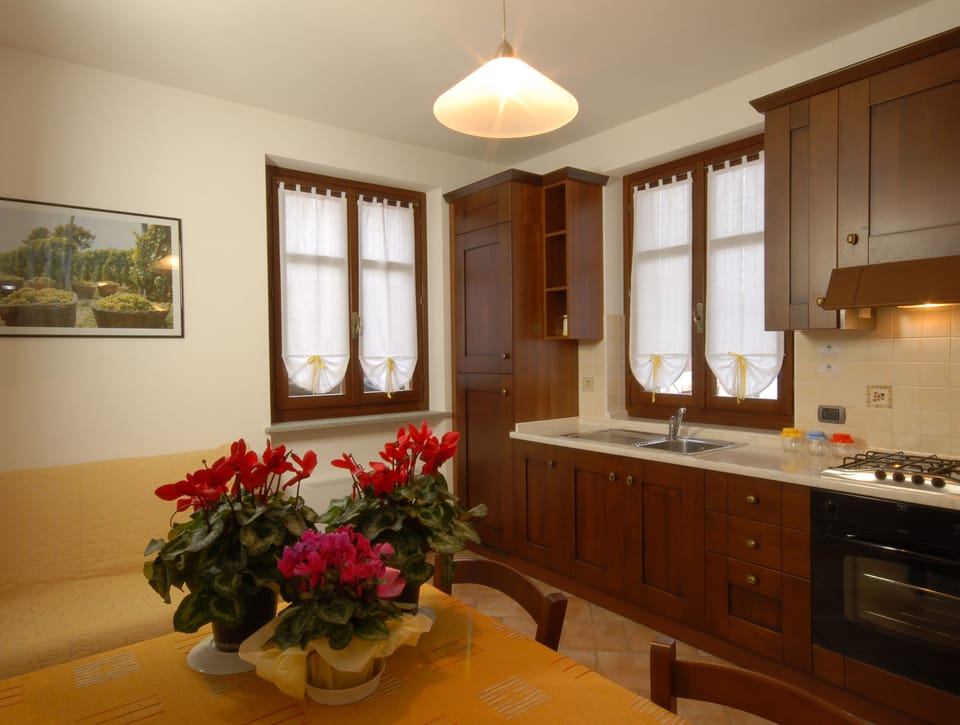 Deluxe Apartment, 1 Bedroom, Kitchenette, Hill View | Private kitchen | Full-size fridge, oven, stovetop, electric kettle