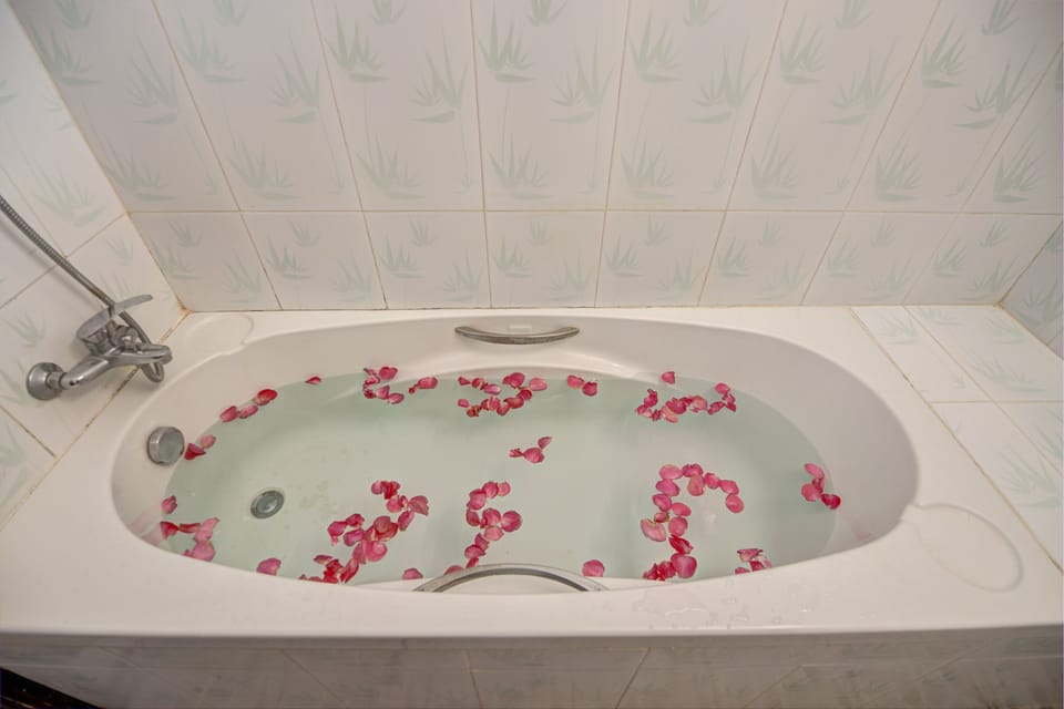 Shower, free toiletries, hair dryer, slippers
