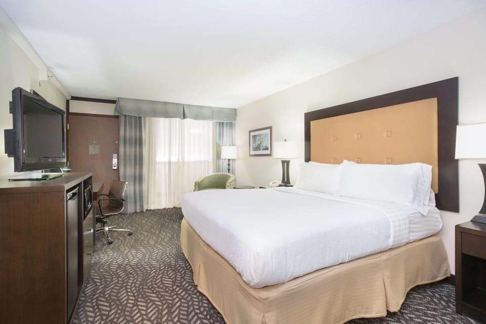 Room, 1 King Bed, Non Smoking | Minibar, desk, soundproofing, iron/ironing board